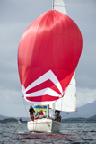 pandanova k1092t whw12 mon gjmc 6346